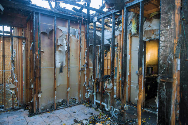 Professional Fire Damage Removal technician working in Black Diamond, FL