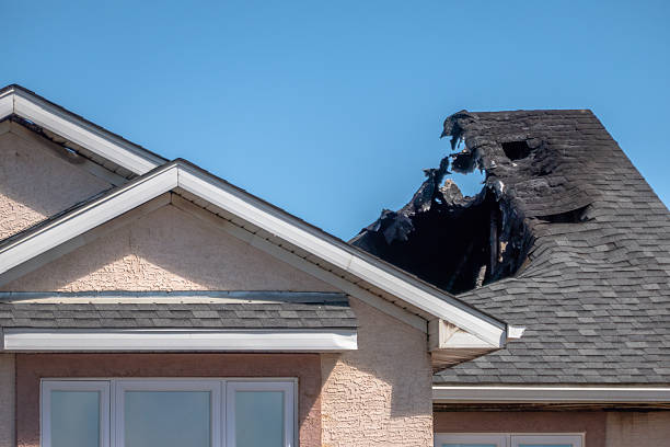 Top rated local Fire Damage Removal specialists in Black Diamond, FL